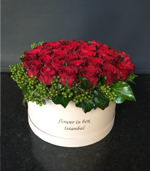 Kutuda 30 Adet Ekvator Gülü